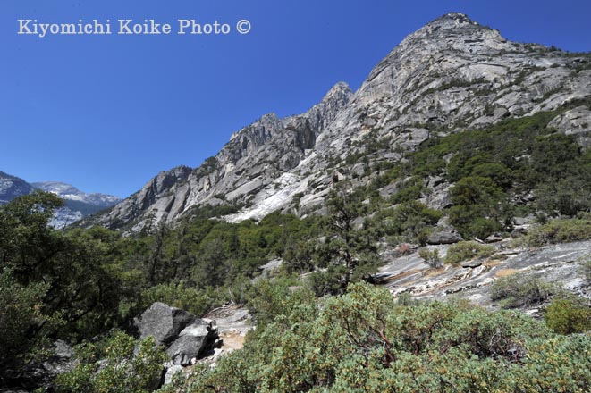 Kings Canyon National Park