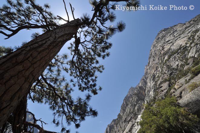 Kings Canyon National Park