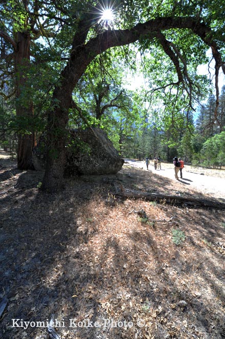 Kings Canyon National Park