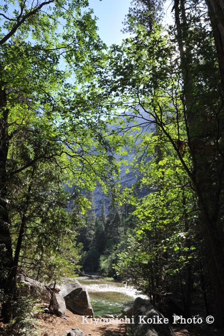 Kings Canyon National Park