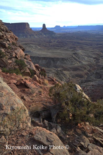 �L���j�I�������Y�������� - Canyonlands National Park
