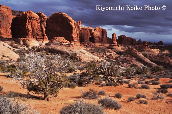 �A�[�`�Y�������� - Arches National Park