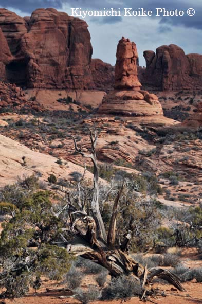 �A�[�`�Y�������� - Arches National Park