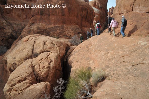 �A�[�`�Y�������� - Arches National Park