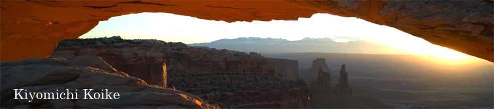 �A�����J�B�e���[�N�V���b�v �y���r���ʁz