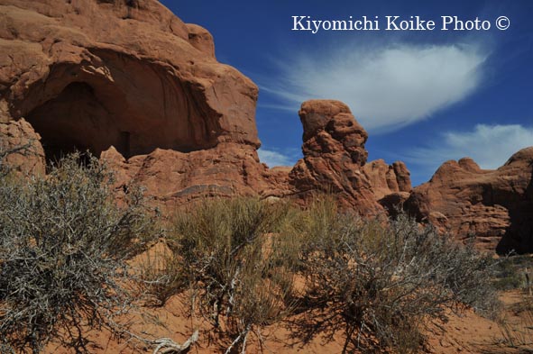 �A�[�`�Y�������� - Arches National Park