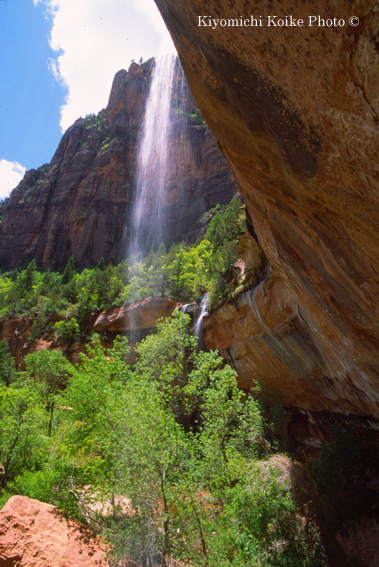 Lower Emerald Pool 1����/1.9km - �U�C�I���������� Zion National Park