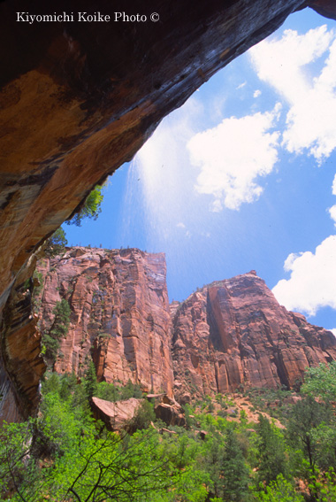 Lower Emerald Pool 1����/1.9km - �U�C�I���������� Zion National Park