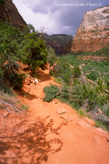 Emerald Pool Trail - �U�C�I���������� Zion National Park