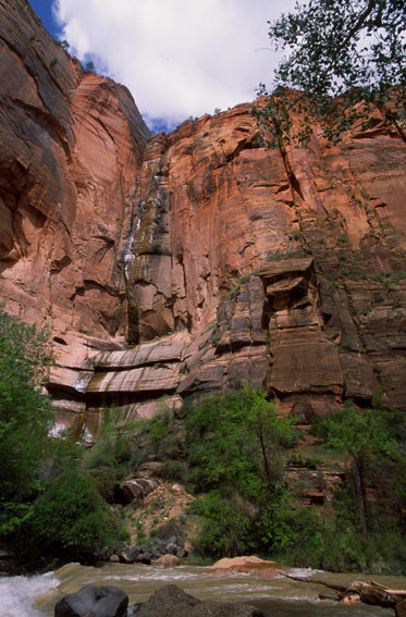 Temple of Sinawava, Riverside Walk 1.5����/3.5km - �U�C�I���������� Zion National Park