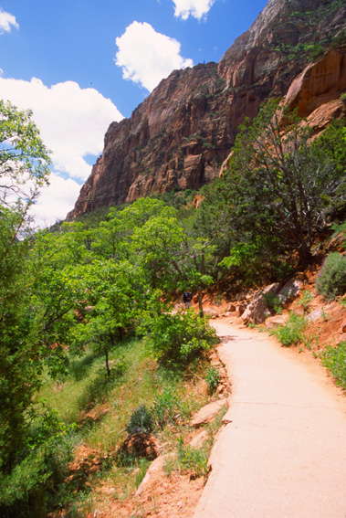 Emerald Pool Trail - �U�C�I���������� Zion National Park