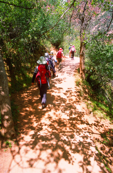 Emerald Pool Trail - �U�C�I���������� Zion National Park