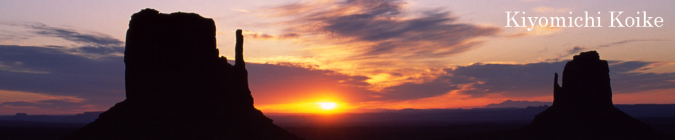 ���j�������g�o���[ �y���r���ʁz