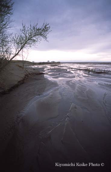 �O���C�g�T���h�f���[���Y�������� Great Sand Dunes National Park
