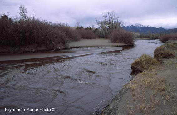 �O���C�g�T���h�f���[���Y�������� Great Sand Dunes National Park
