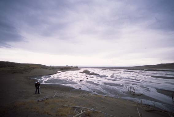 �O���C�g�T���h�f���[���Y�������� Great Sand Dunes National Park