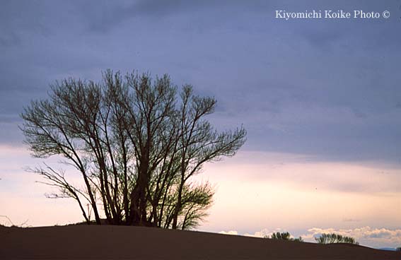 �O���C�g�T���h�f���[���Y�������� Great Sand Dunes National Park