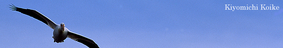 �쒹�B�e �y���r���ʁz