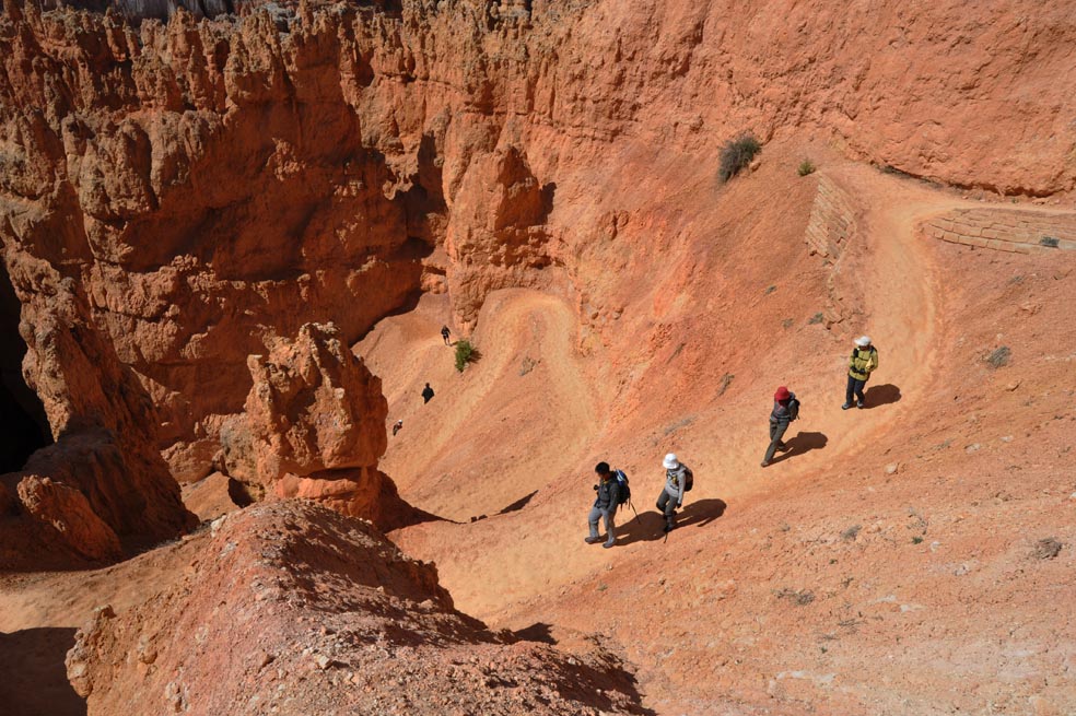 �u���C�X�L���j�I����������