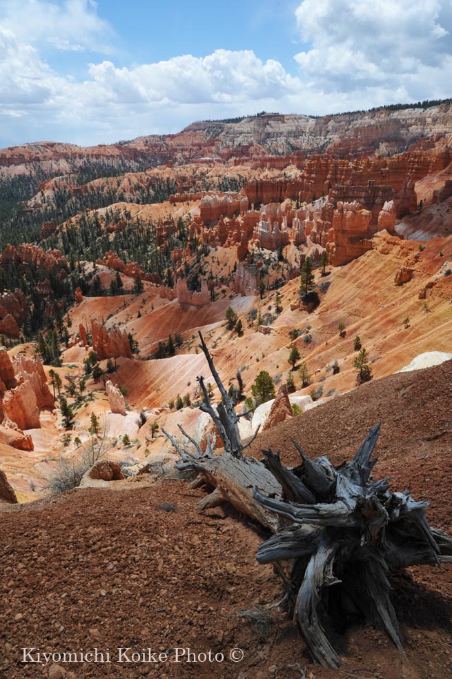 �u���C�X�L���j�I���������� - Bryce Canyon National Park