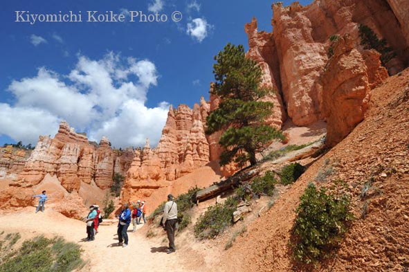 �u���C�X�L���j�I���������� - Bryce Canyon National Park