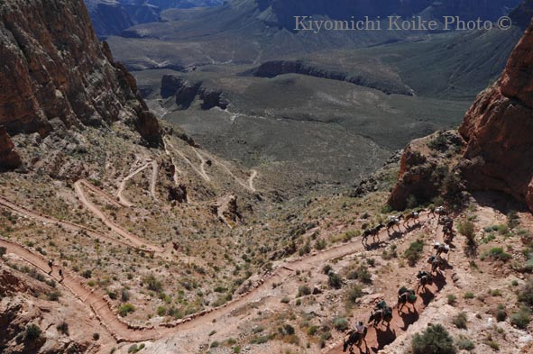 �O�����h�L���j�I���������� - Grand Canyon National Park