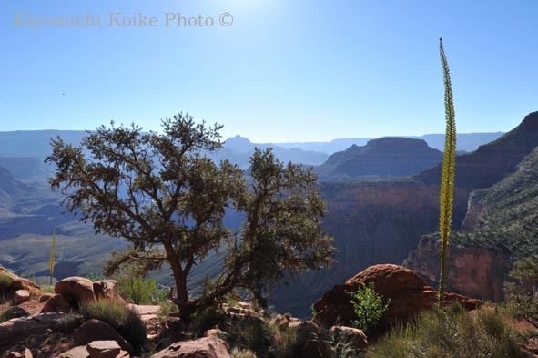 �O�����h�L���j�I���������� - Grand Canyon National Park
