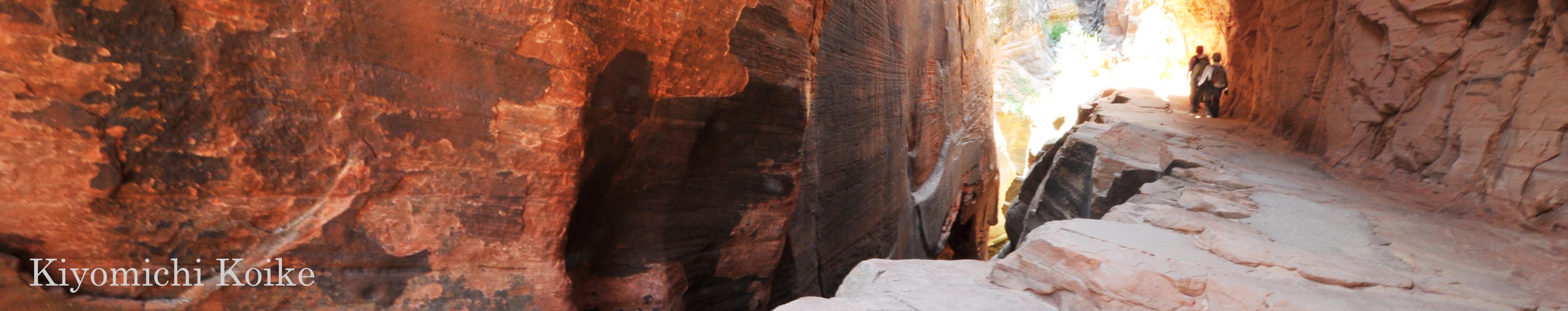 �A�����J�B�e���[�N�V���b�v �y���r���ʁz