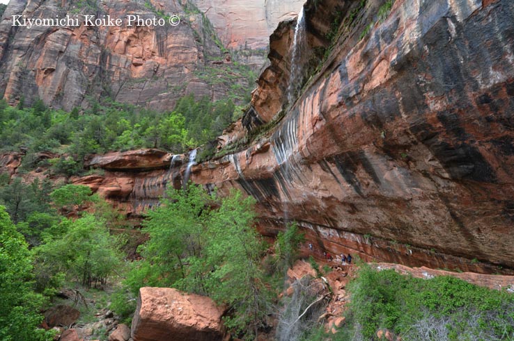 �U�C�I���B������ - Zion National Park