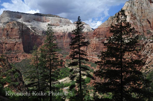 �U�C�I���B������ - Zion National Park
