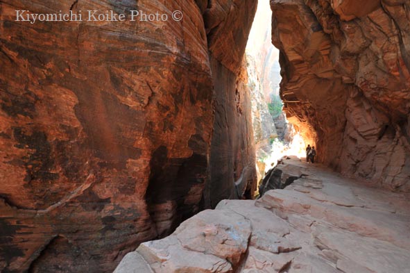 �U�C�I���B������ - Zion National Park