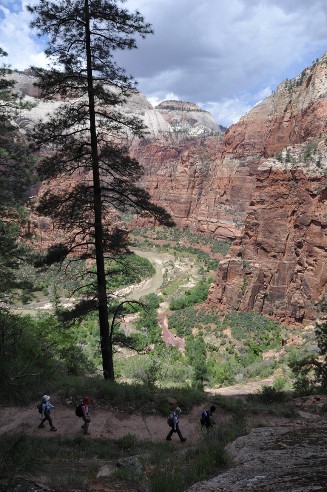 �U�C�I���B������ - Zion National Park