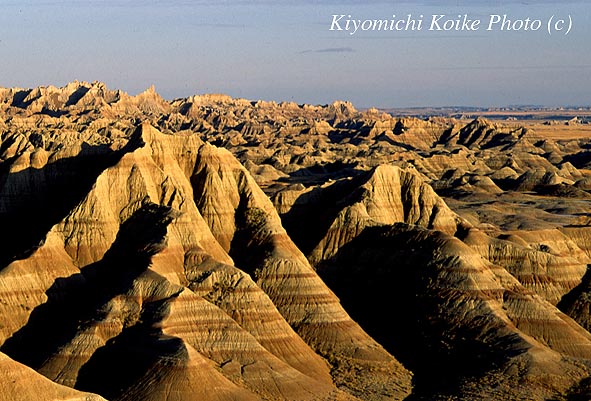 �o�b�h�����Y�̐N�H��