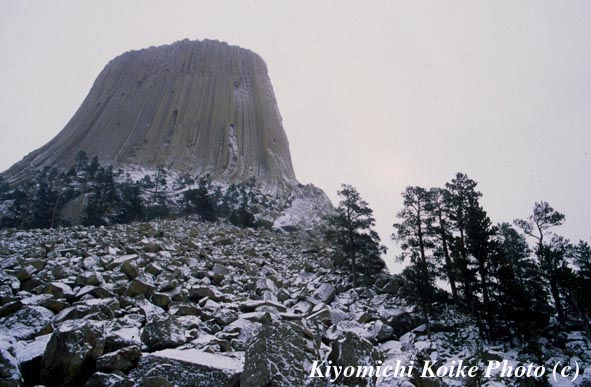 ����̒����ނ���f�r���Y�^���[