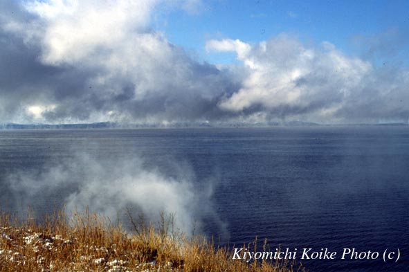 �C�G���[�X�g�[����