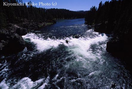 �C�G���[�X�g�[�����o�[�̑f���炵������