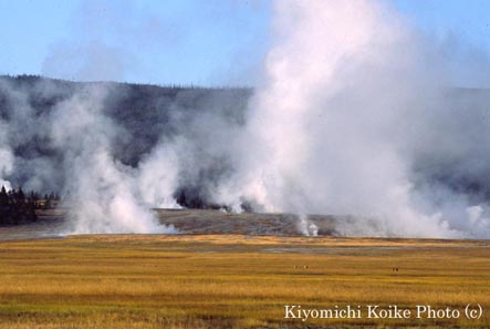 ���[�A�[�K�C�U�[�x�C�X��