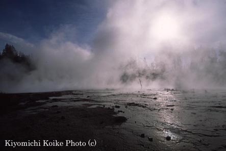 ���[�A�[�K�C�U�[�x�C�X��