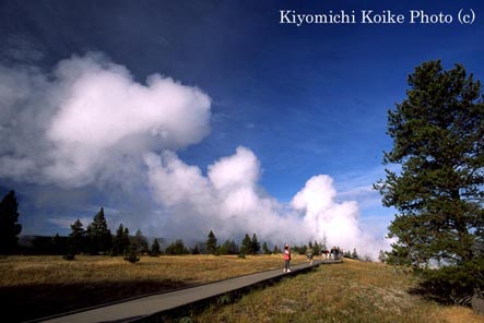 ���[�A�[�K�C�U�[�x�C�X��