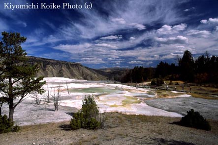 �A�b�p�[�e���X