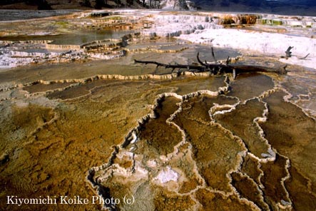 �}�����X�@�A�b�p�[�e���X