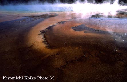 �~�b�h�E�G�C�K�C�U�[