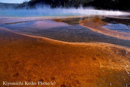 �C�G���[�X�g�[�����������~�b�h�E�G�C�K�C�U�[�Q