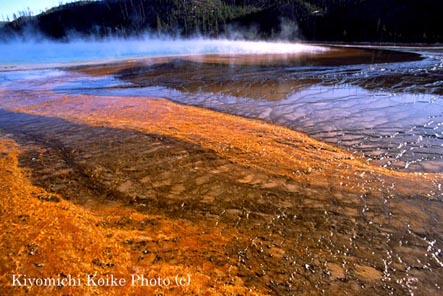 �~�b�h�E�G�C�K�C�U�[