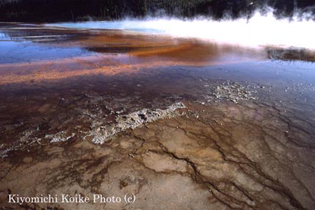 �~�b�h�E�G�C�K�C�U�[