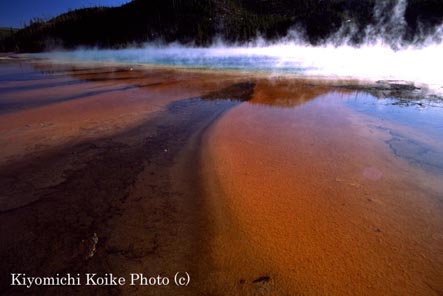 �~�b�h�E�G�C�K�C�U�[