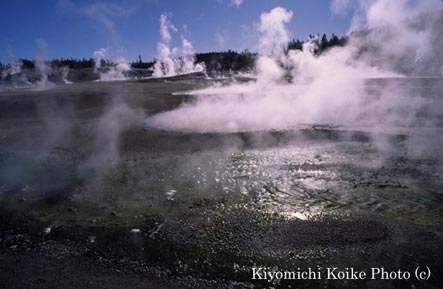 �m�[���X�K�C�U�[