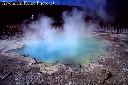 �m�[���X�K�C�U�[