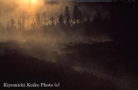 �����ɋP�����삩��N���オ����C