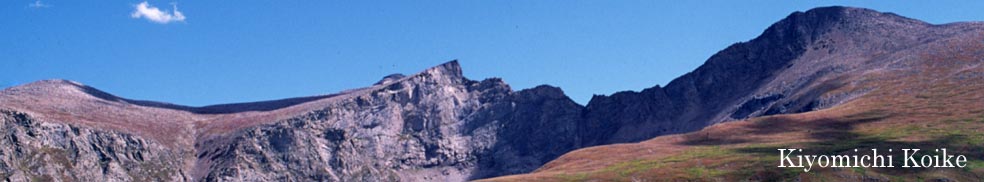 �f�������S�V���o�[�g���S���@�R�����h �y���r���ʁz